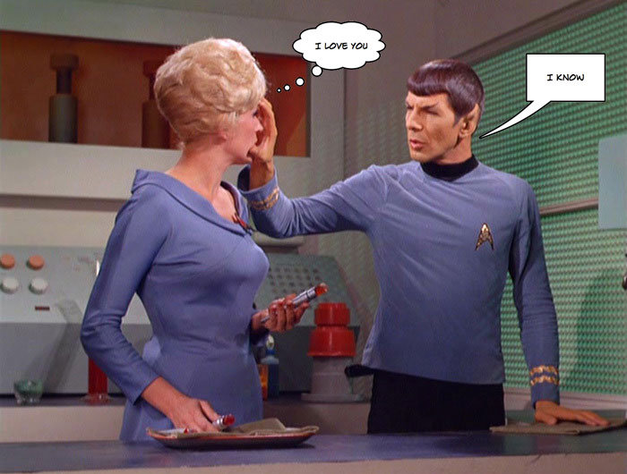 spock mind meld with mccoy fanfiction