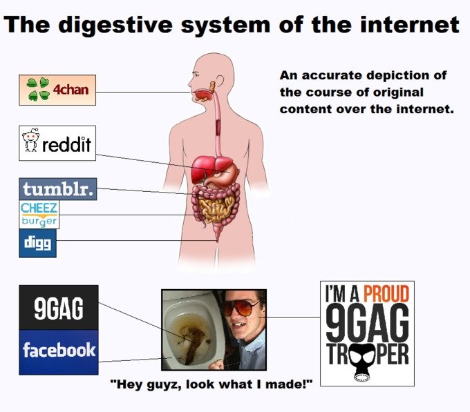 Funny Digestive System