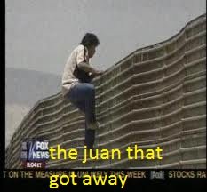 Mexican Hopping Fence