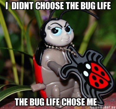 The+Bug+Life_a34913_4124421.jpg