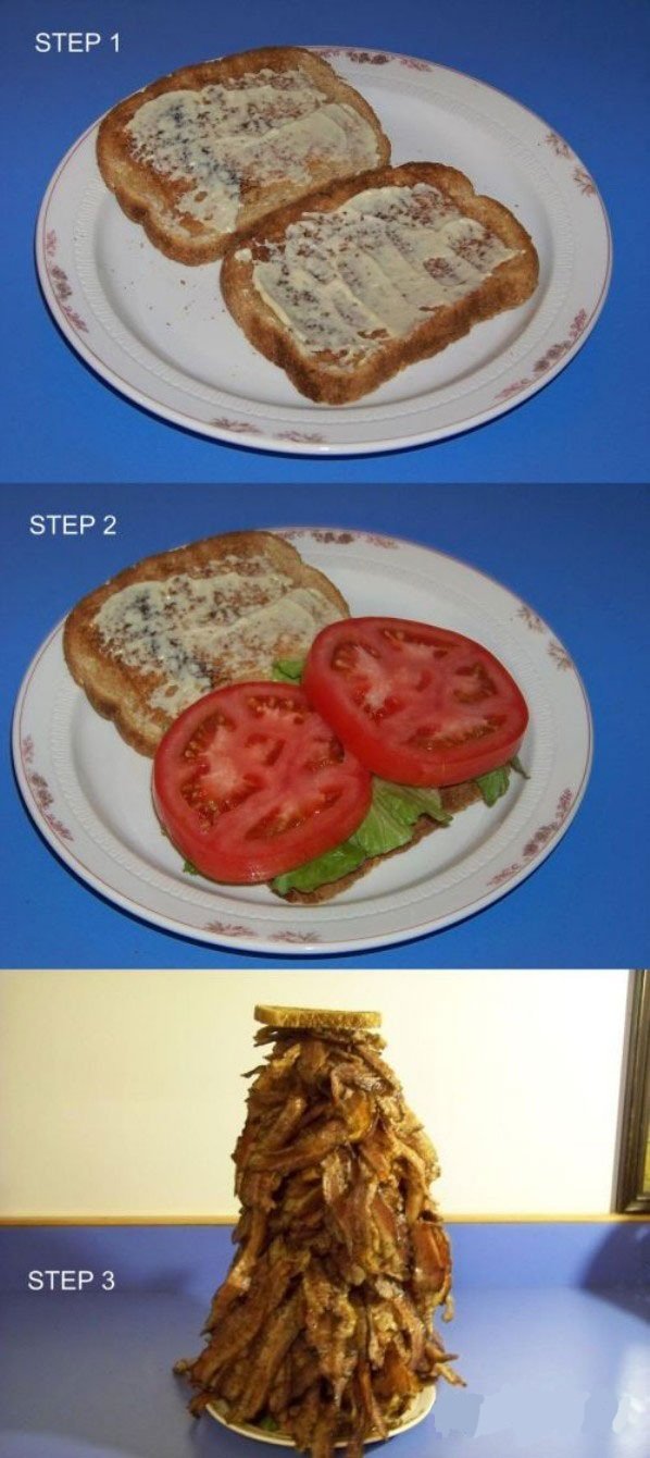 Funnyjunk Sandwich