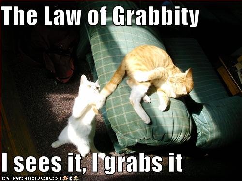 Law Of Grabbity