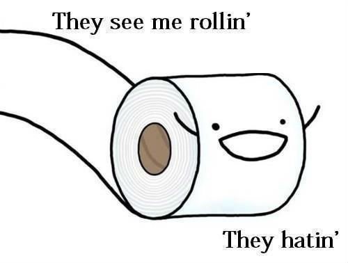 They+see+me+rollin+.+I+have+poop+on+me+because_667a47_4068005.jpg