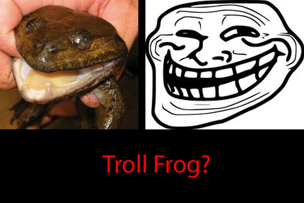 Troll+Frog.+one+two+three+four+five_0552ca_3675454.jpg