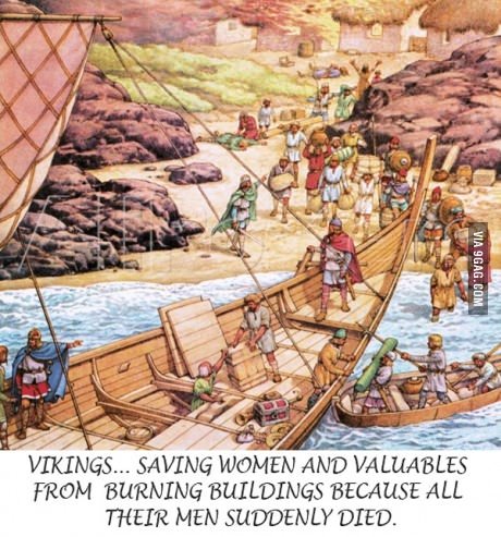 Vikings_fd0d97_4900799.jpg