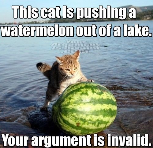 Cat Watermelon Invalid