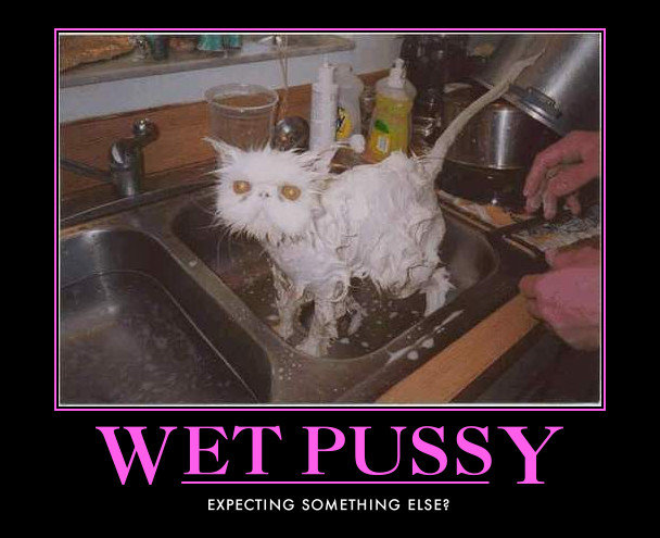 Wet Pussys Games 16