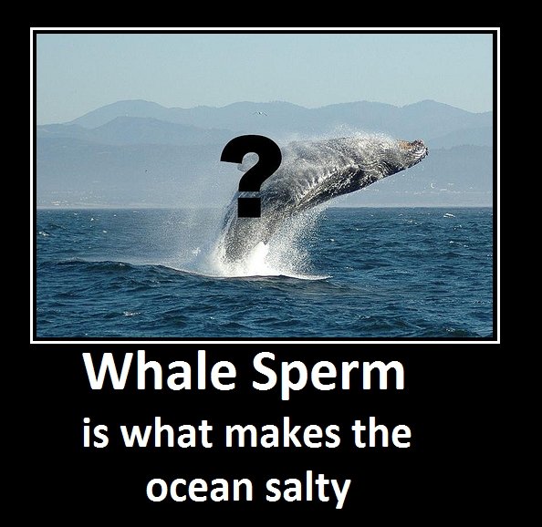 retarded whale
