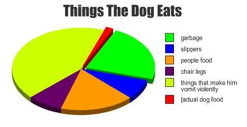 Τι καταναλώνουν συνήθως οι σκύλοι;
