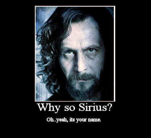 sirius movie