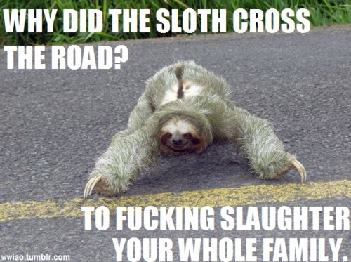 Sloth On Road