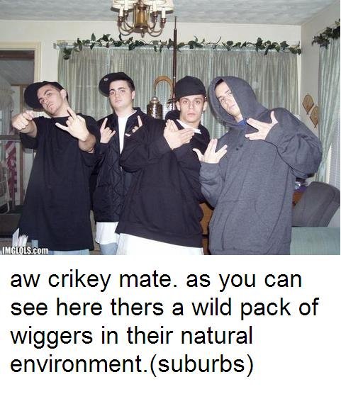 wild wiggers. .. not really gla...