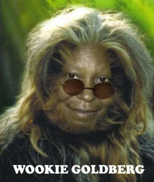 Wookie+goldberg+wookie+goldberg_8097af_3162787.jpg