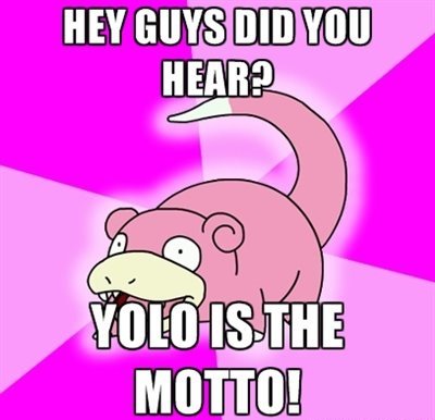 Yolo Funny Pictures