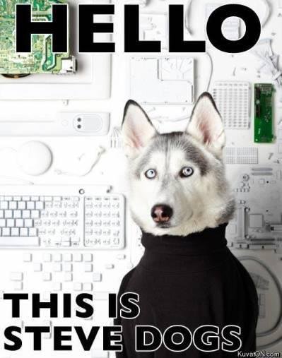 Yes+this+is+dog+.+Hi+I+m+Steve_998b63_3251080.jpg