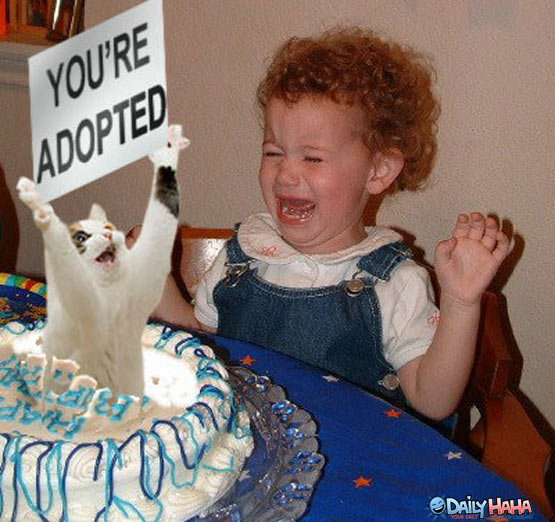 ur adopted cat