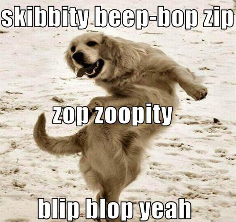 Zippity_652aba_804315.jpg