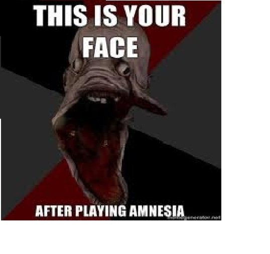amnesia meme