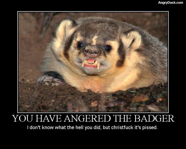 Angered The Badger