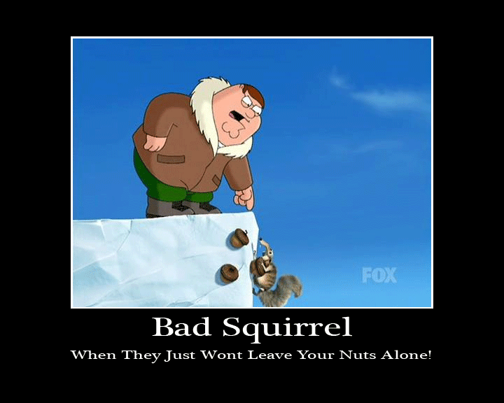 Bad Squirrel
