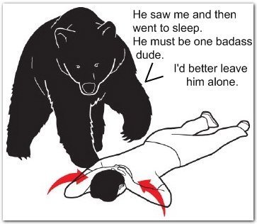 Beware The Bear