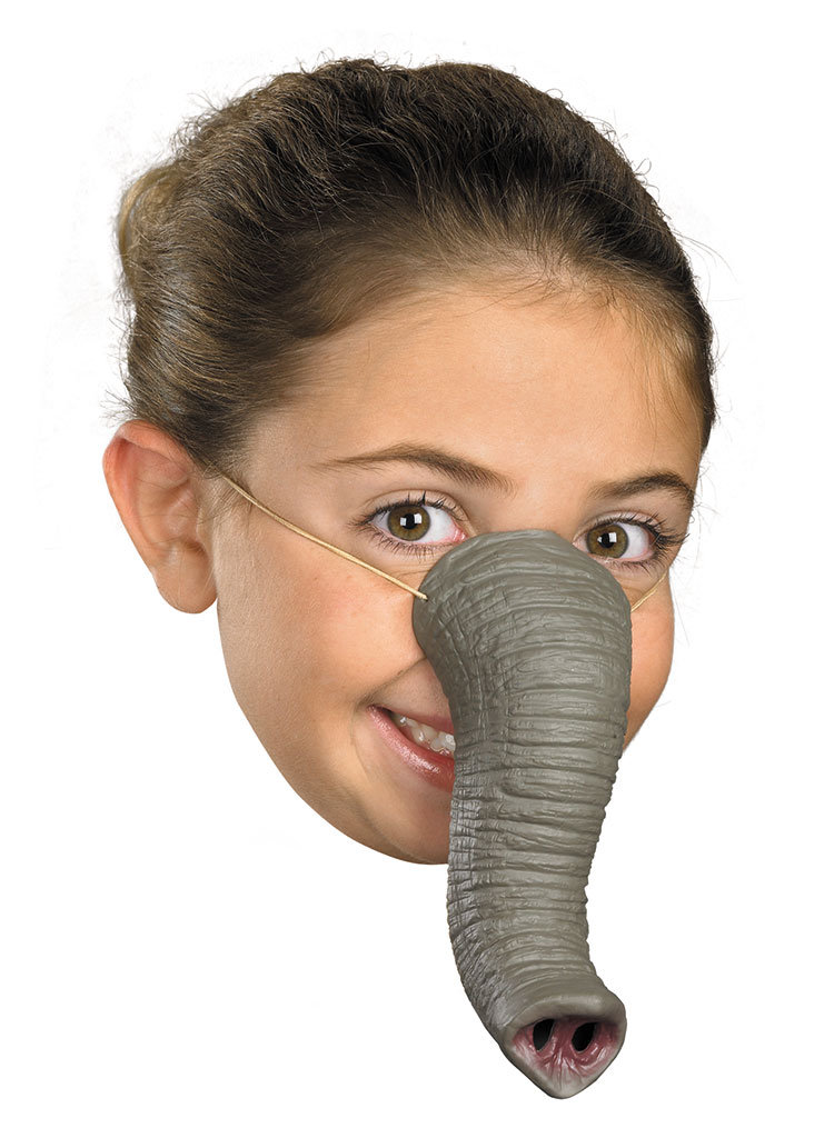 big+nose.+elephant_5d3bd1_4880456.jpg