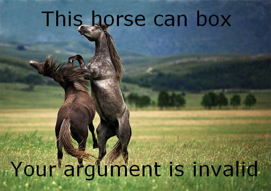 Horse Boxing