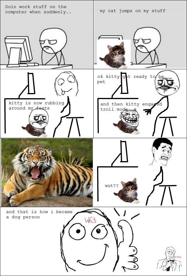 Cat Rage