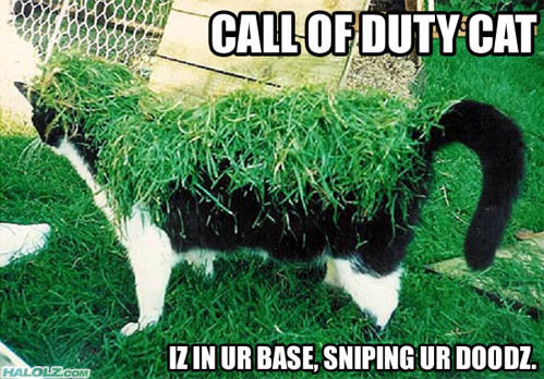 Sniping Kitty