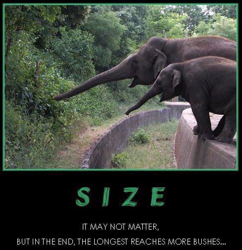 Does Size