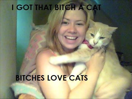 I Like Cats Eharmony Songify