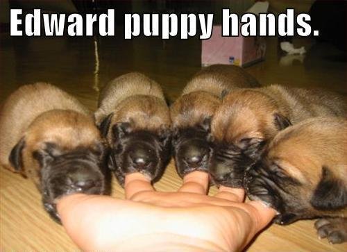 Edward Puppy Hands