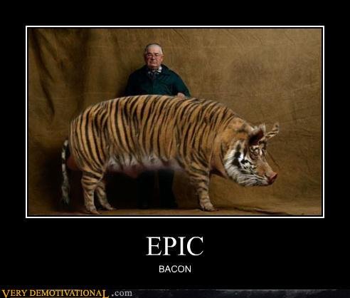 Lol Bacon