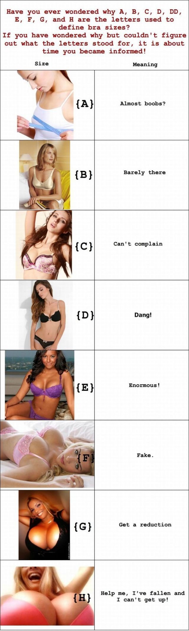 explanation+of+bra+sizes+dam+whats+your+