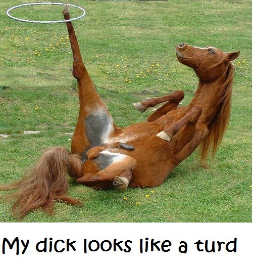 horse dick. cool