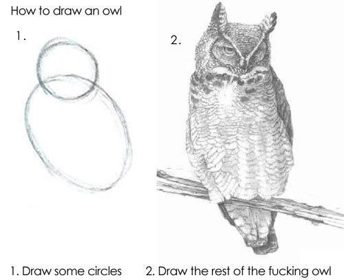 how+to+draw+an+owl_5129d2_3214981.jpg