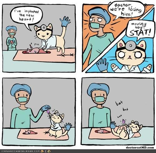 Kitty Doctor