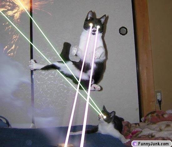 ninja laser