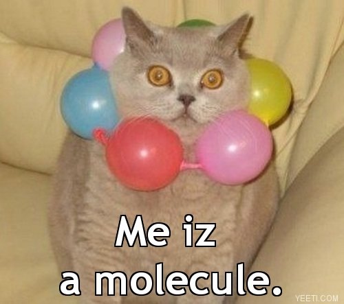 me+surely+iz.+chemistry+cat+is+full+of+chemistry_9534e2_3669601.jpg
