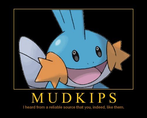 Funny Mudkip Pictures