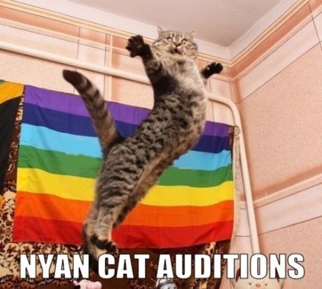 nyan cat auditions. Not bad, NEEEXT!