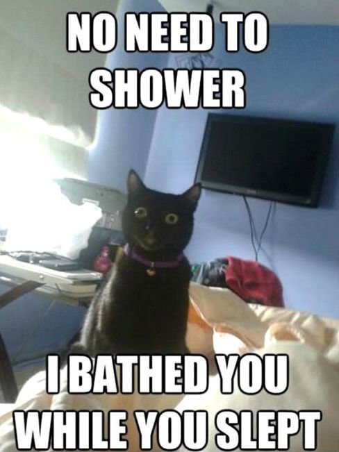 overly+attached+cat.+What+a+nice+bath_21021e_3851839.jpg