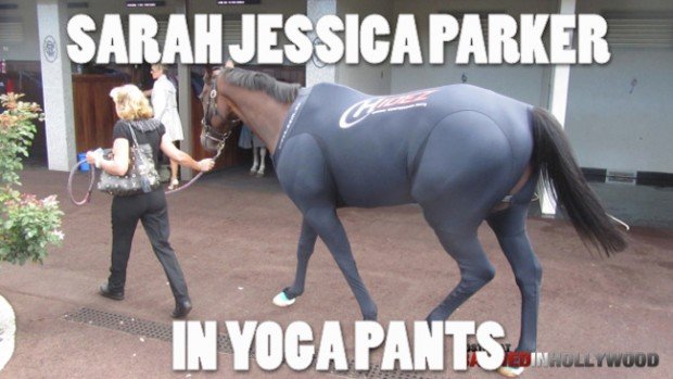 pony+in+yoga+pants.+so+i+heard+you+guys+like_f68bca_3927218.jpg
