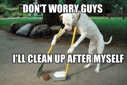 poop+cleaner.+good+dog_f5f0dd_3656952.jpg