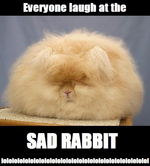 rabbit sad