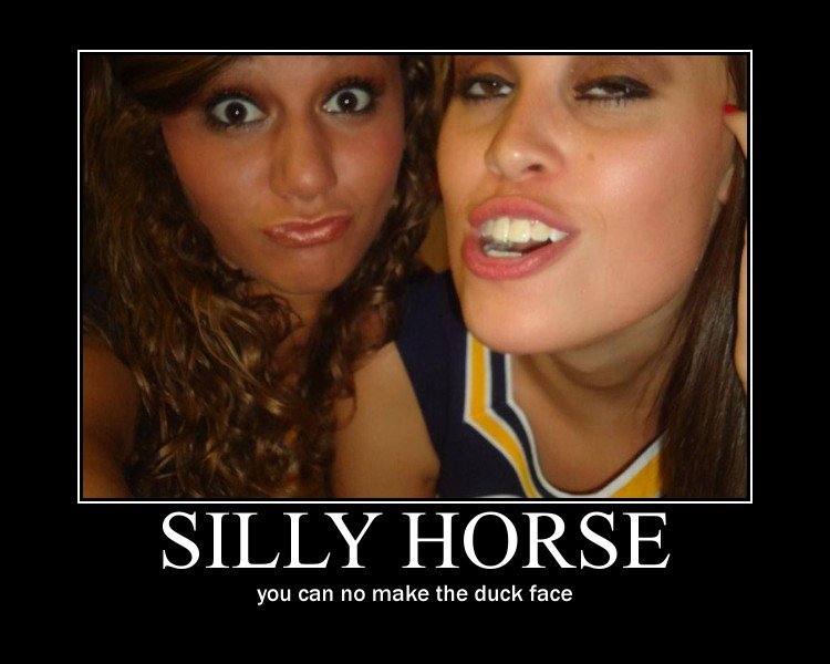 horse silly