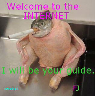 welcome+to+the+internet.+First+Oc+Be+kind_03cb8a_3254365.jpg