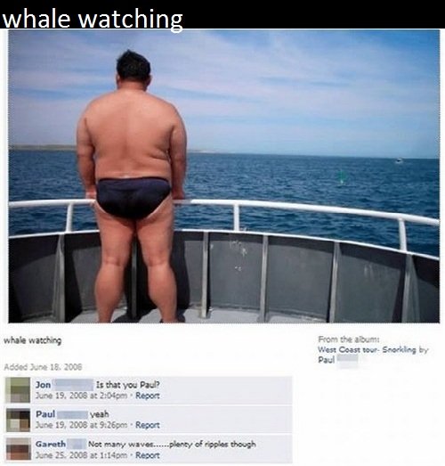 whale lol