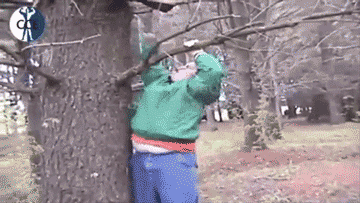 26+gifs+of+idiot+kids+we+can+all+agree+that_4ef295_5505737.gif