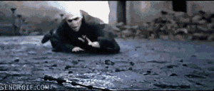 Halo+Jumping.+Poor+Voldemort_9fd92e_4107958.gif